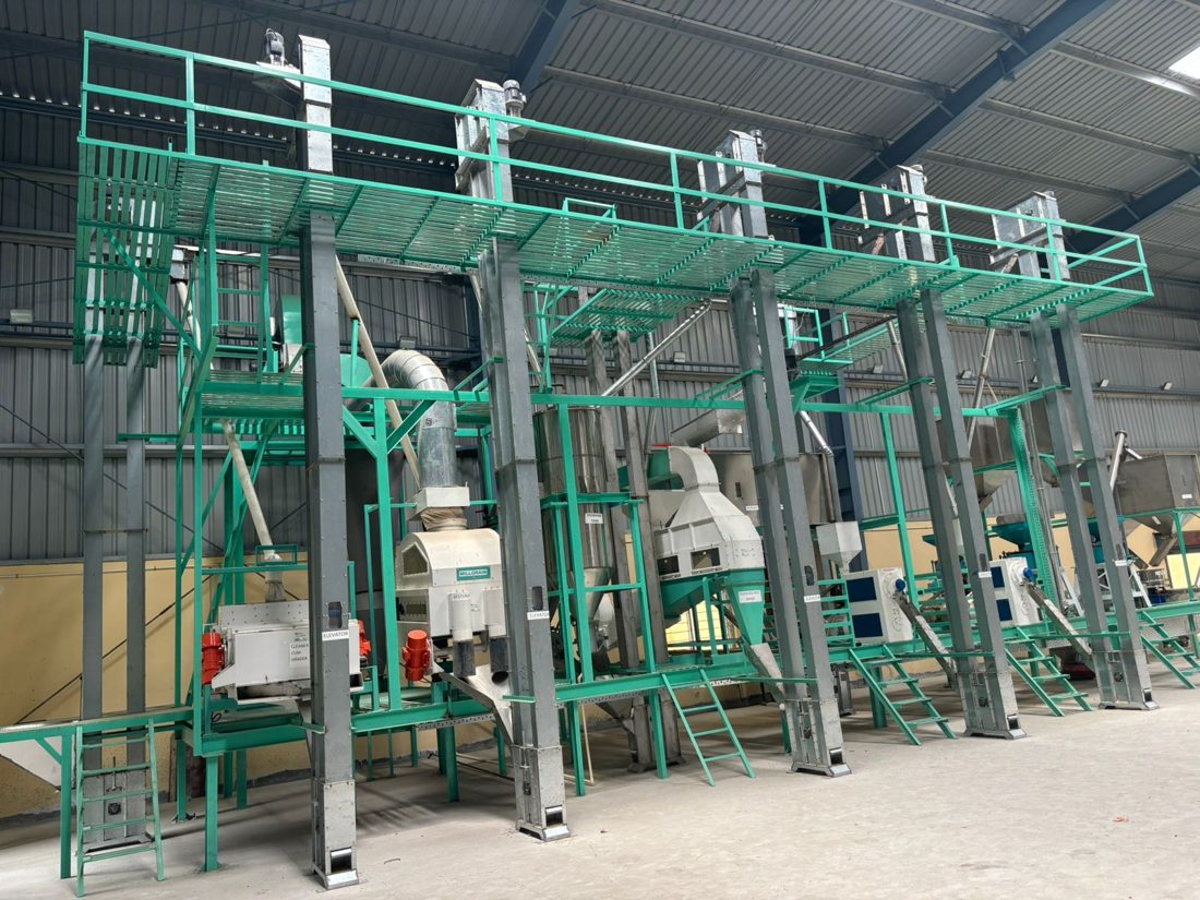 Complete grain processing line installation
