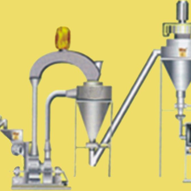 Besan Plant